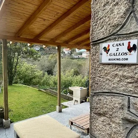 Casa 2 Gallos Ourense