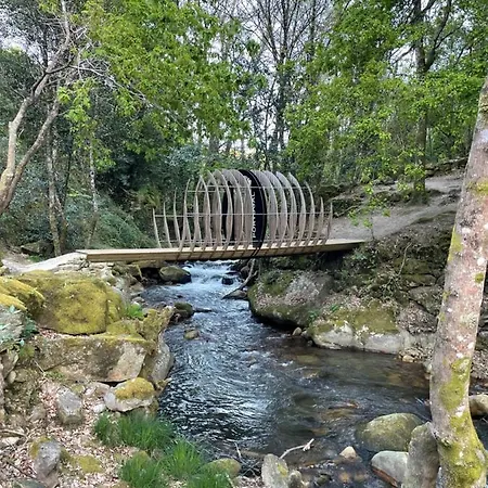 Casa vacanze Casa 2 Gallos