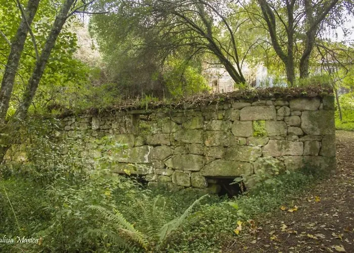 Сasa de vacaciones Casa 2 Gallos Ourense
